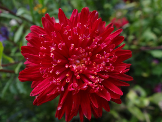 915693 (a): :2007x1505